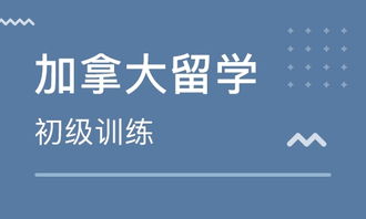 鄭州出國留學(xué)加拿大 如何選擇靠譜的中介？